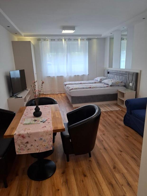 Vila Ema Apartments And Rooms Ljubljana Luaran gambar